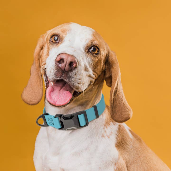 Dogline - Wholesale Pet Collar - Dog - Biothane Waterproof Dog Collar with Magnetic Quick Release Buckle36