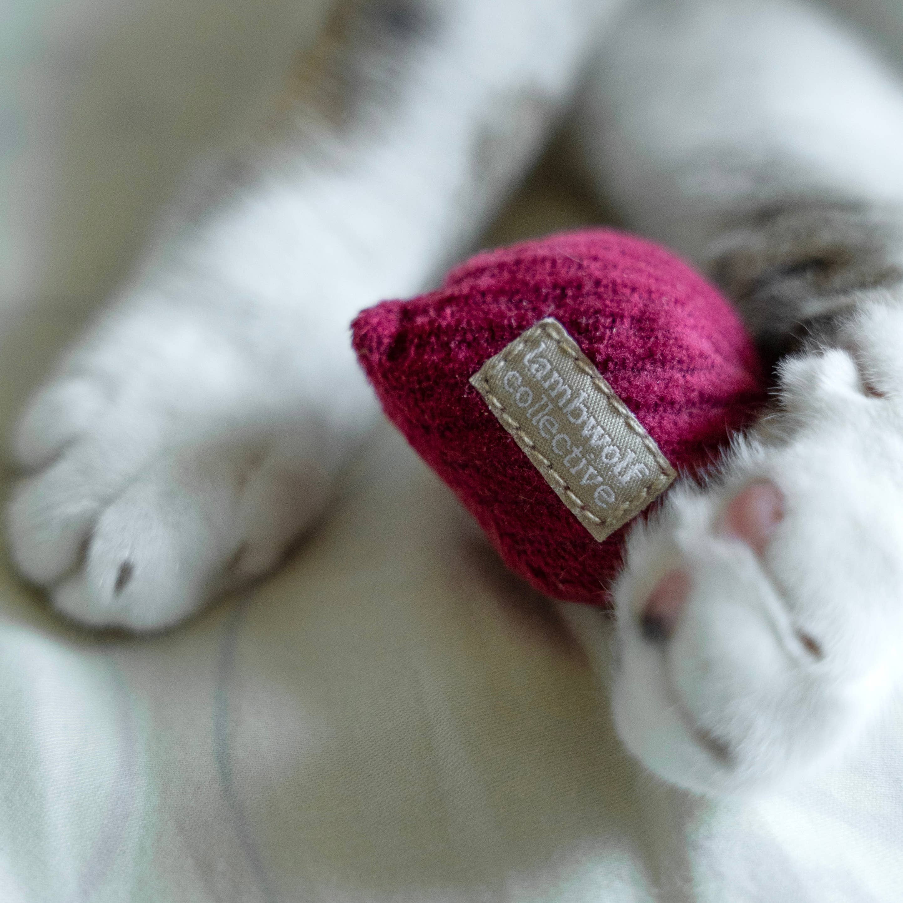 Lambwolf Collective - Vente Jouet – chat - RADIS CHATON0