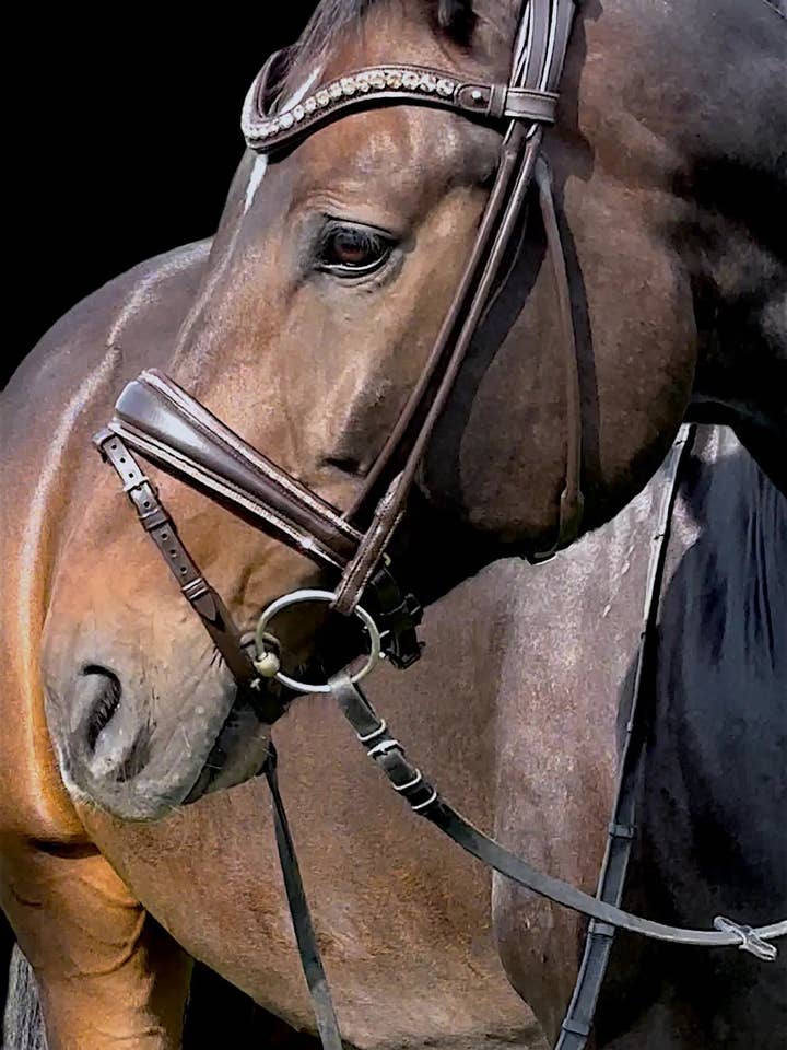 Gold bridle - braune rundgenähte Trense glitzer VB für den Großhandel von CR Harmonyequestrian