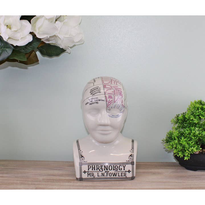 Natural Multi Large Ceramic Crackle Phrenology Head for wholesale on Faire