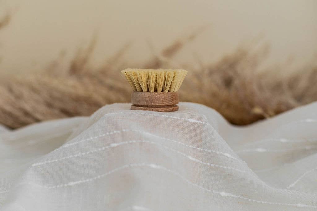 The Waste Less Shop - Wholesale Cleaning Brush - Beechwood Dish Brush Replacement Head – Soft Agave1