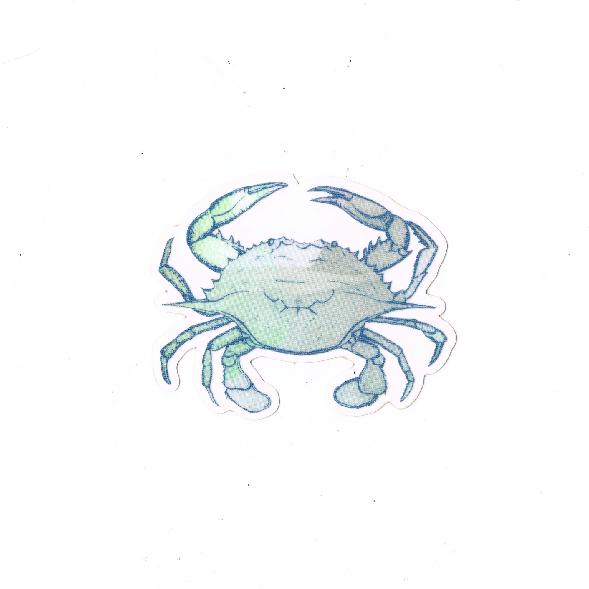 Statement Goods - Wholesale Sticker - Colorful Crab Vinyl Sticker2