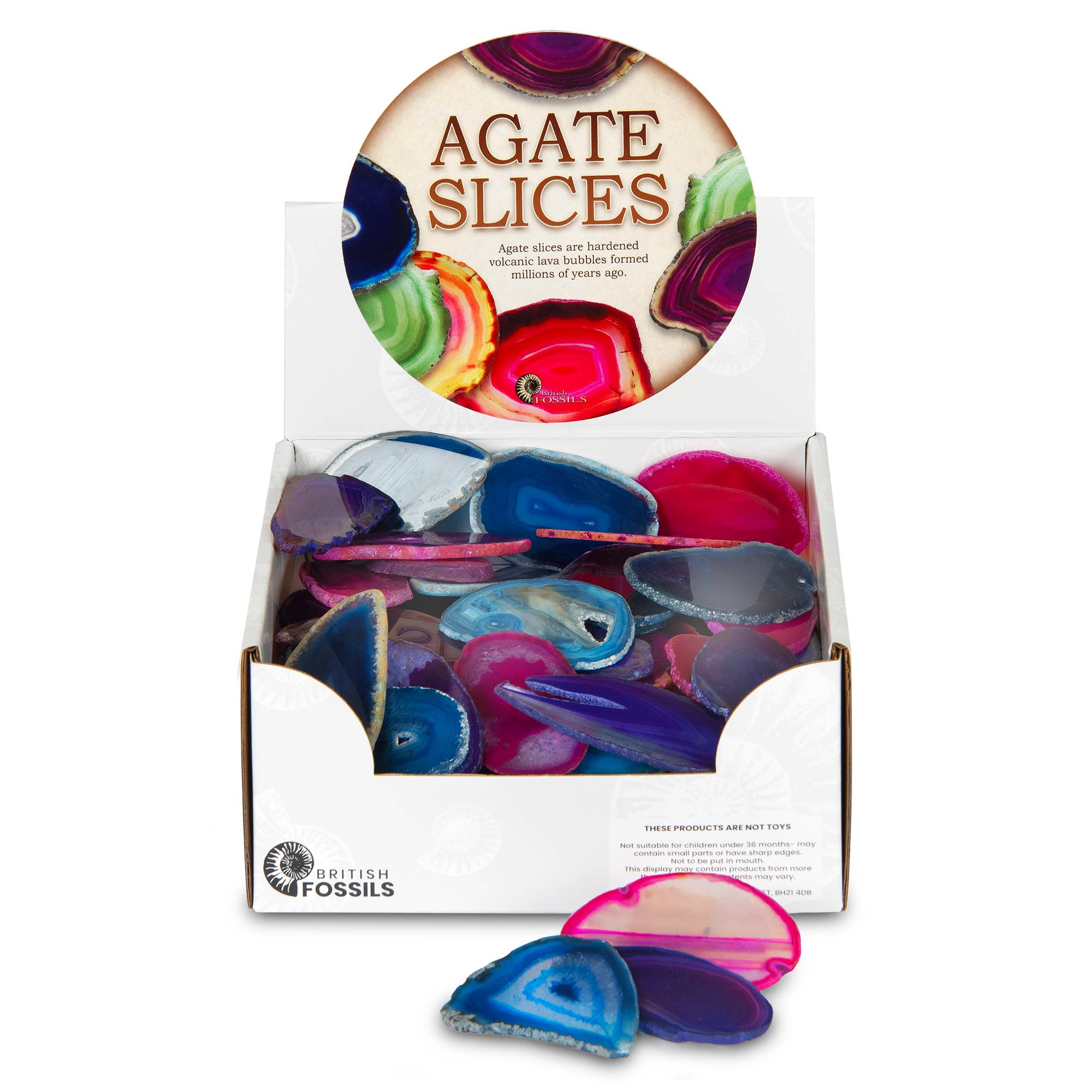 British Fossils - Vente Pierre et cristal de spiritualité - Tranches d'agate0