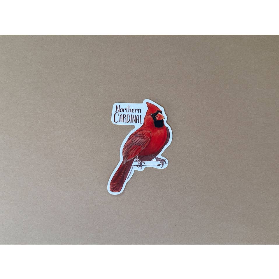 River Thrush Studio - Wholesale Sticker - Northern Cardinal - Vinyl Sticker