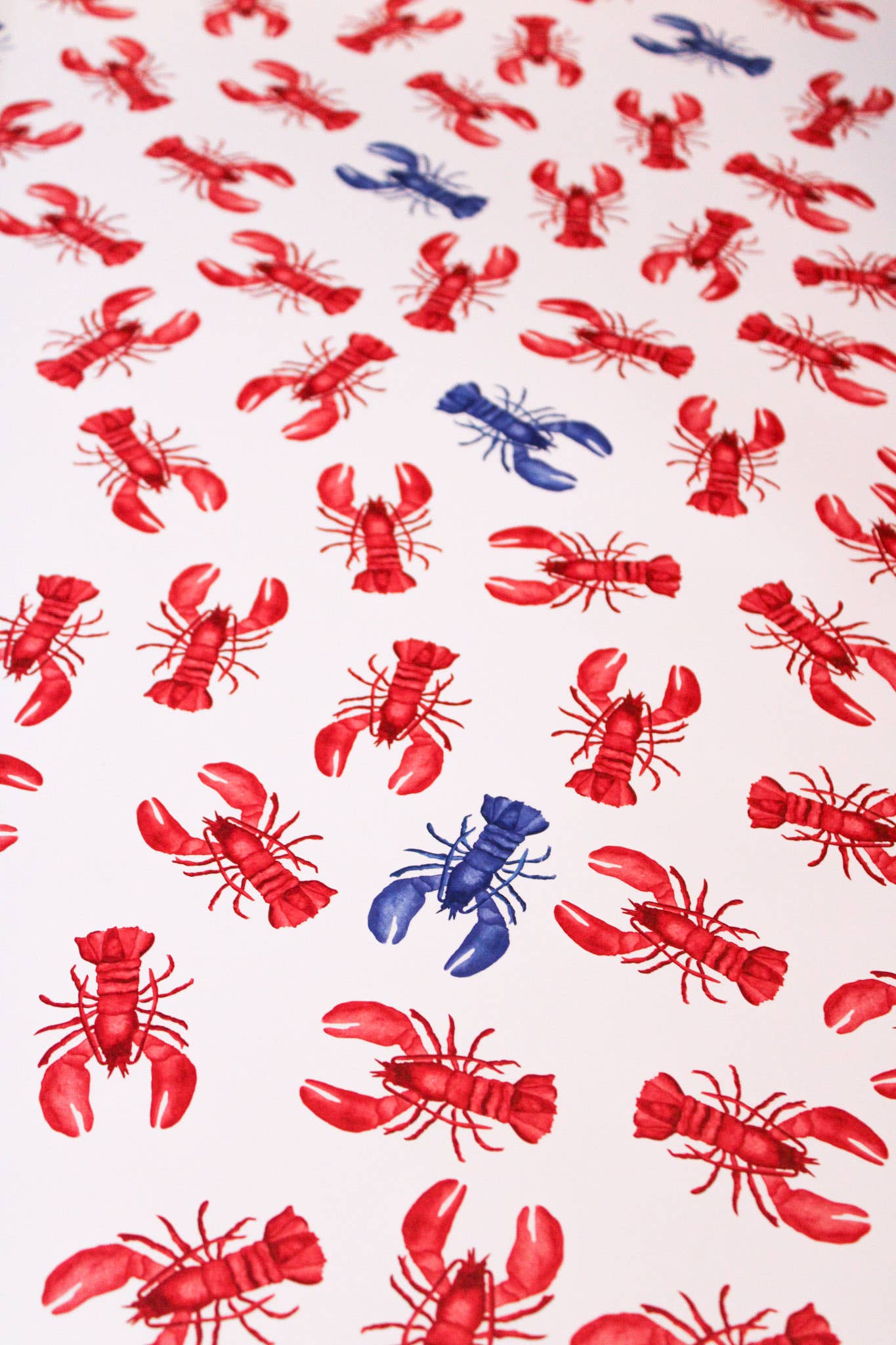 Scribbles and Doodlez - Wholesale Wrapping Paper Roll - Blue and Red Lobster | Watercolor Gift Wrapping Paper Sheet1