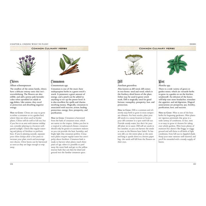 Simon & Schuster UK – wholesale Home and garden – Green Witch's Garden5