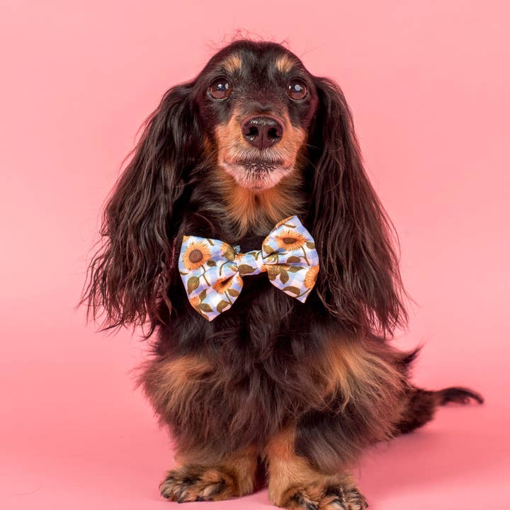 Sunny Sunflowers: Bow Tie for wholesale by Pablo & Co. Boutique