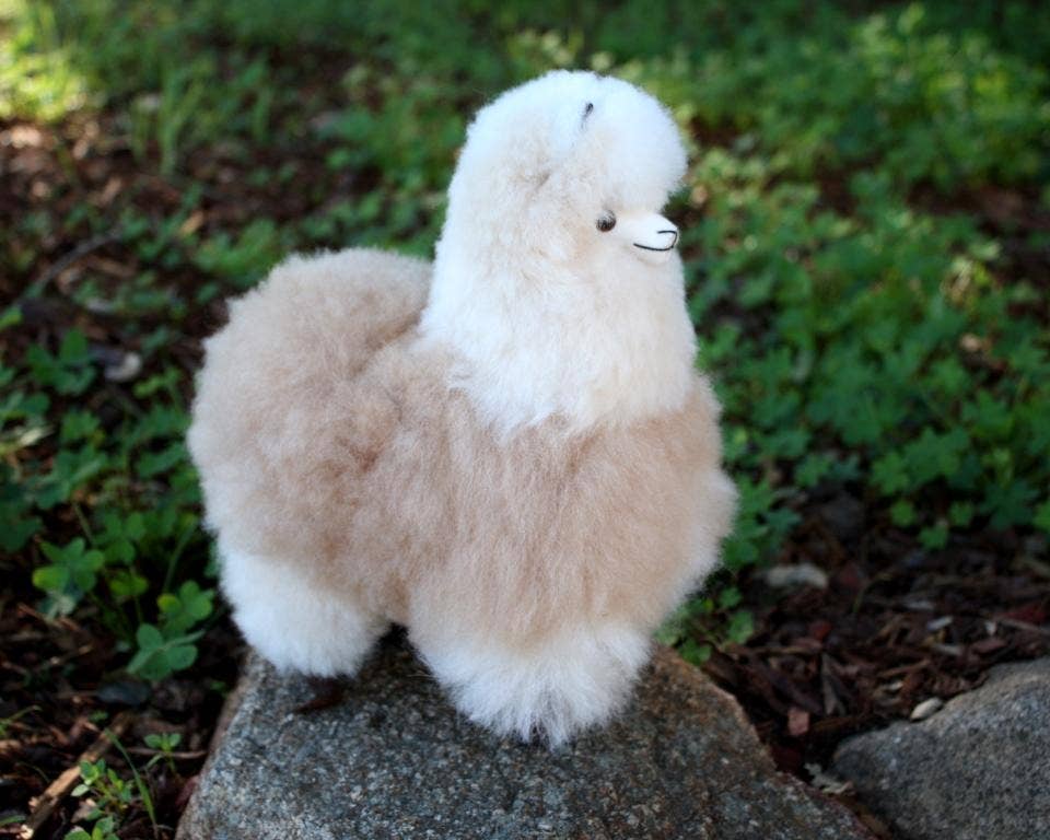 Choice Alpaca Products - Vendita all'ingrosso Peluche - Bambini e neonati - Peluche di Alpaca in Piedi da 23 cm2