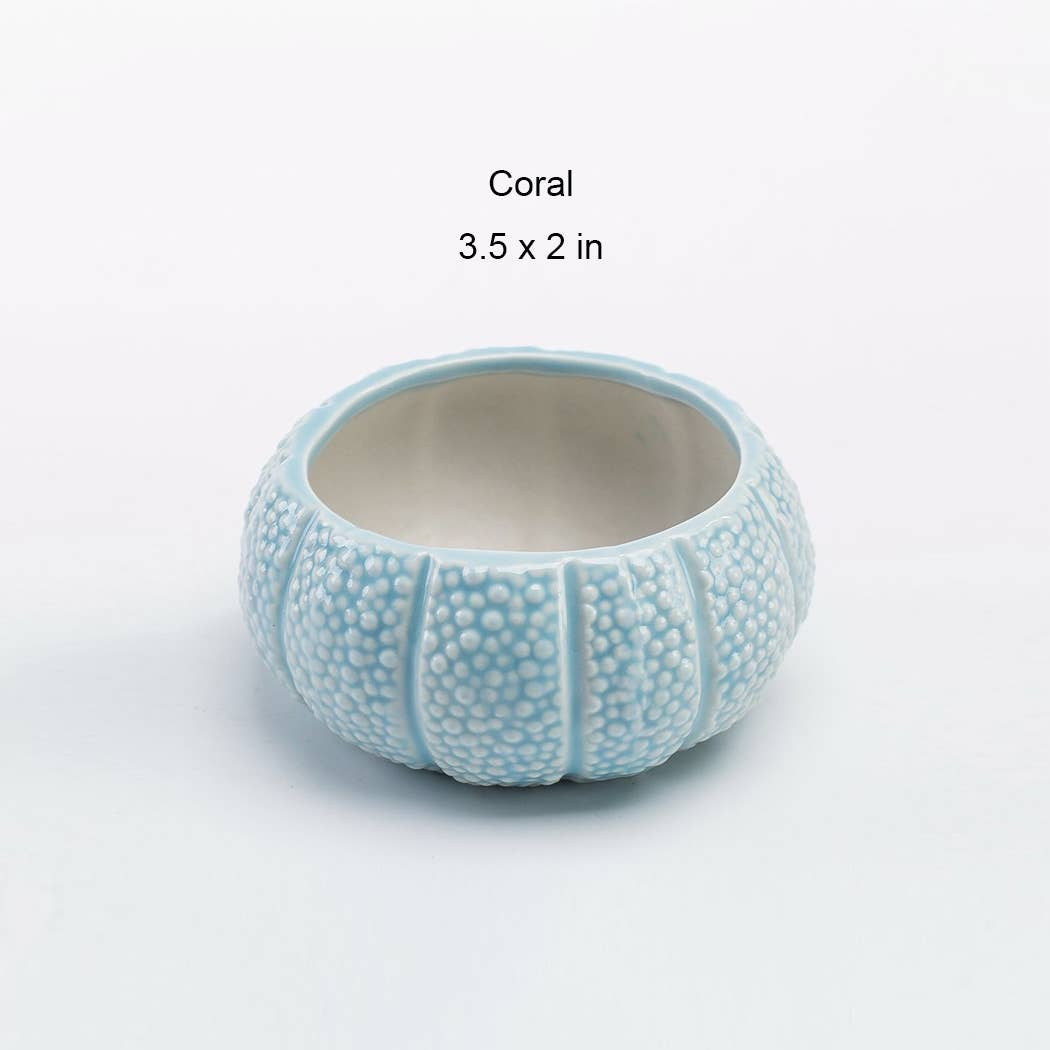 Ailly's garden - Wholesale Plant Pot - Under The Sea Planters6