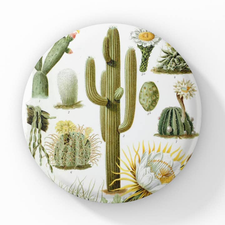 Cactus Pin Button, Botanical Cactus Keychain, Cactus Magnet for wholesale by NatureCuts