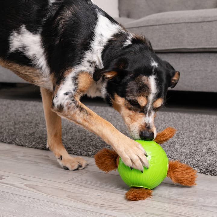Pet Palette Distribution - Wholesale Pet Plush Toy - Dog - Nina Ottosson Snuffle N' Treat Ball TNT Dog Puzzle Toy Green