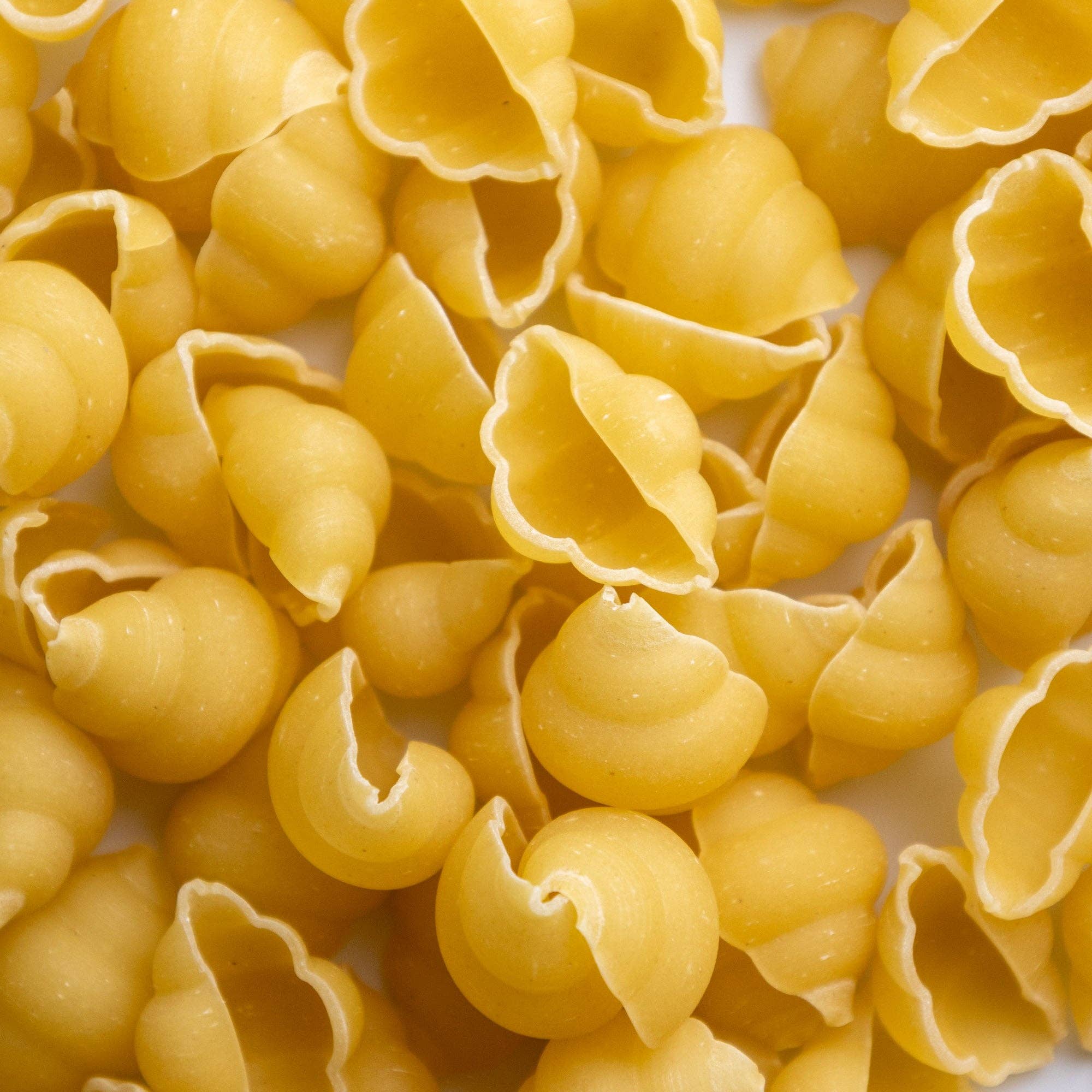 Giadzy - Wholesale Pasta - Organic Gnocchetti Napoletani Pasta1
