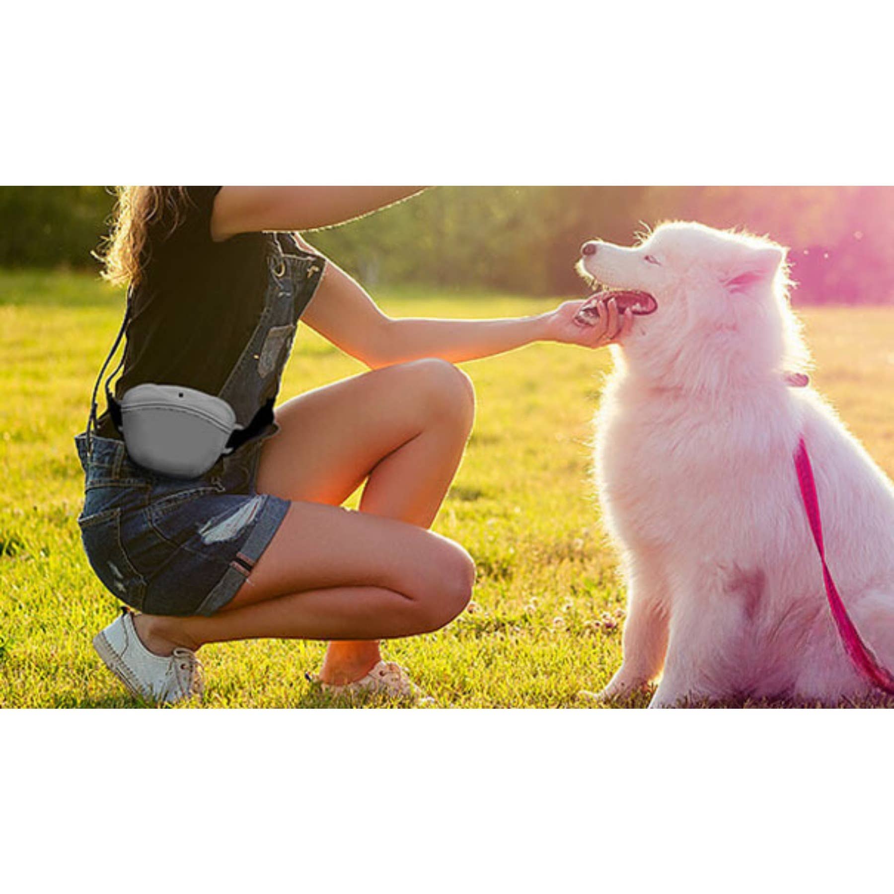 wandf - Wholesale Pet Treat Bag - Dog - Silicone Pet Waist Bag – Magnetic Closure & Adjustable Belt5