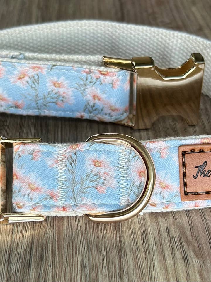 The Sassy Dog Collar - Daisy Collection for wholesale by The Sassy Dog