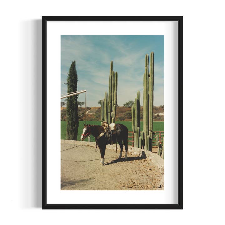 Rancho El Soyate per la vendita all'ingrosso da parte di Wall of Venus