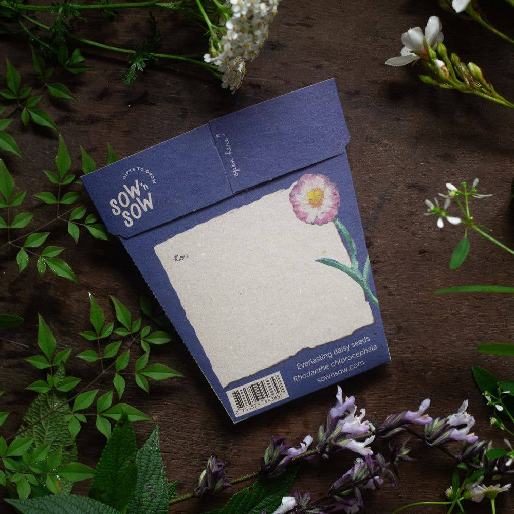 Sow 'n Sow – Großhandel Beileidskarten – Mitfühlende Samen-Geschenk3