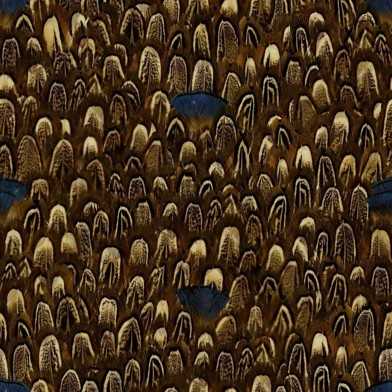 Mineheart – wholesale Wallpaper – Exotic Feathers Yellow and Blue Wallpaper0