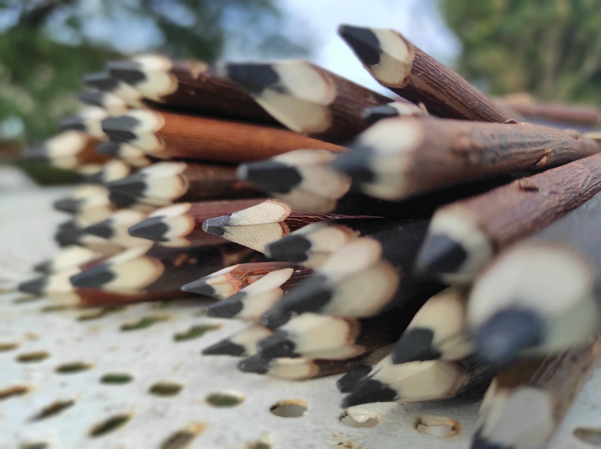 MON PETIT CARNET - Wholesale Stationery/Notecard Set - My little stationery + envelopes + Herbier pencil2