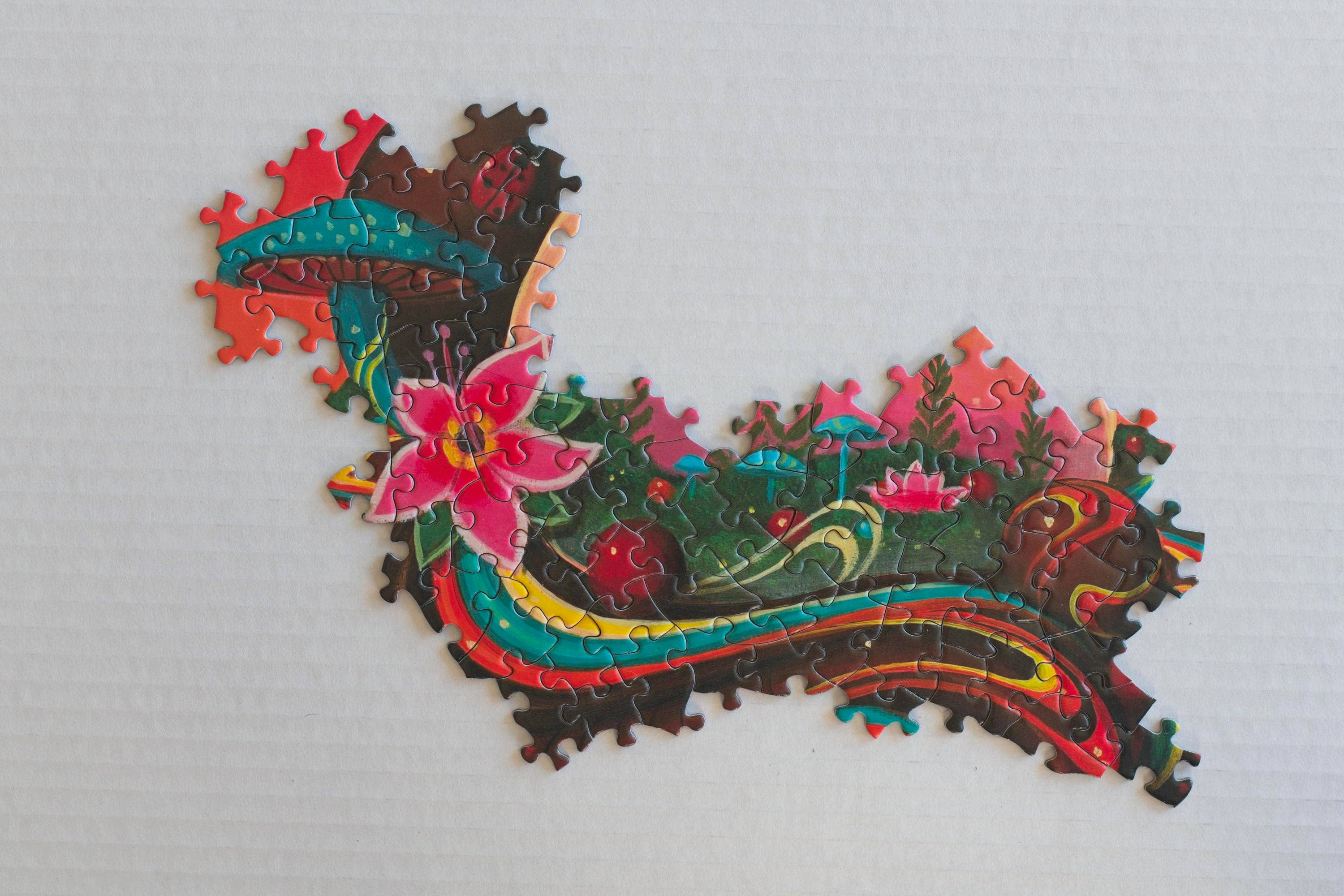 Oakland Puzzle Company - Wholesale Puzzle - Adult - Microcosm 500-piece Jigsaw Puzzle art by Paul Lewin6