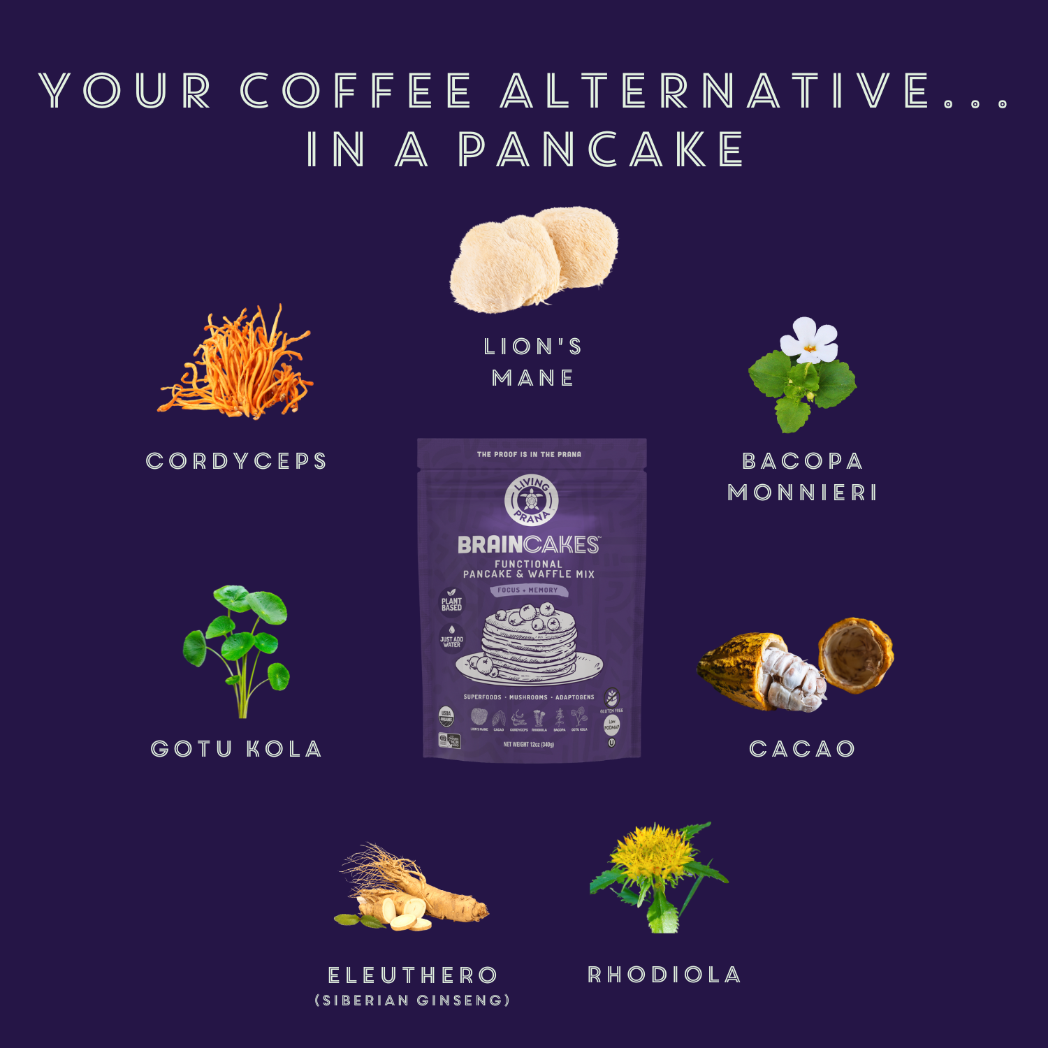 Living Prana – Engroshandel Pandekagemix – BrainCakes® funktionel pandekage- og vaffelmix - økologisk, glutenfri4