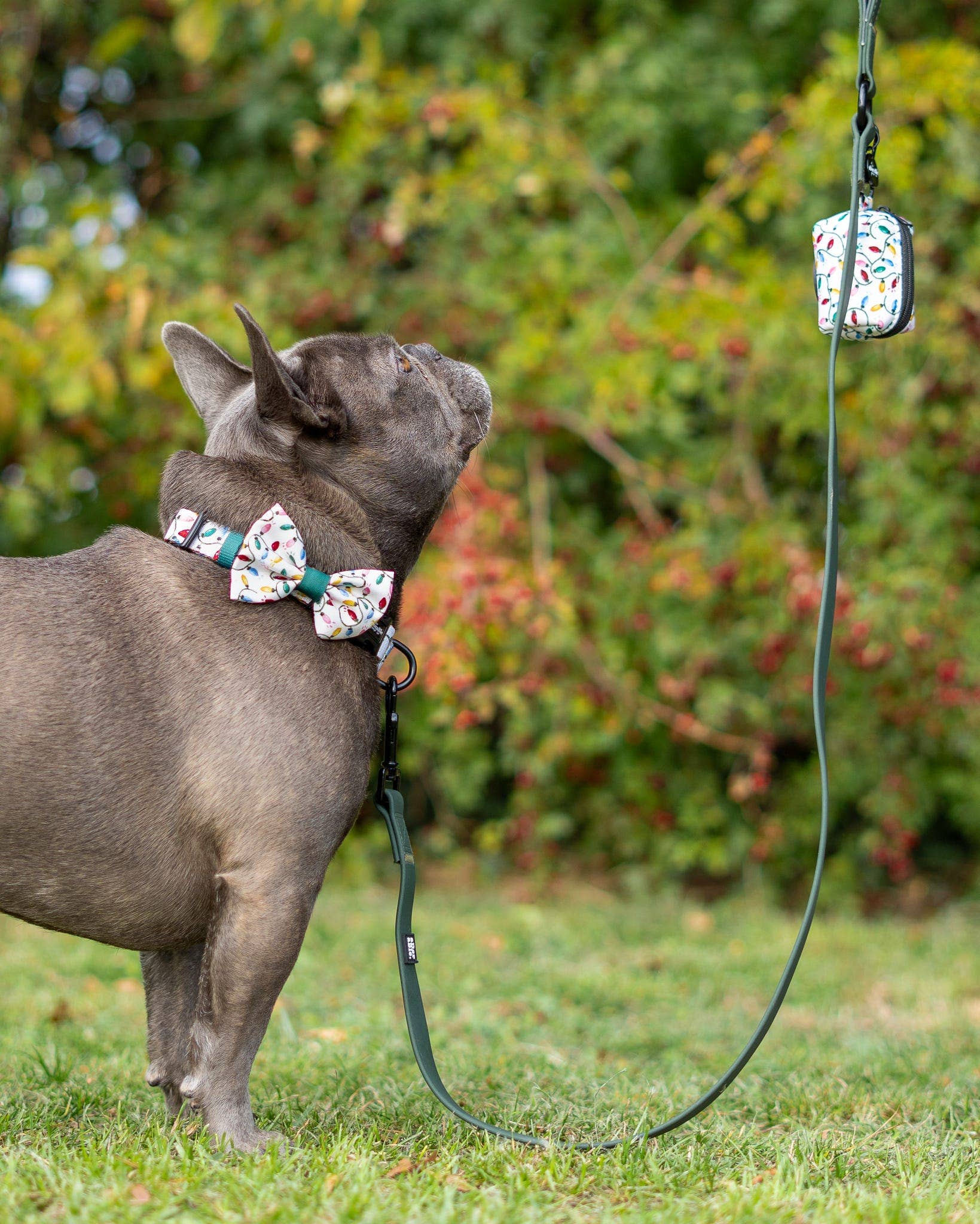 The aDoraBle Pooch Company – wholesale Pet poo bag dispenser – Dog Poop Bag Holder - Festive Lights1