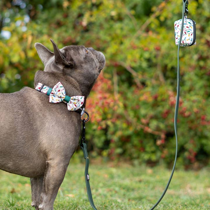 The aDoraBle Pooch Company – wholesale Pet poo bag dispenser – Dog Poop Bag Holder - Festive Lights1