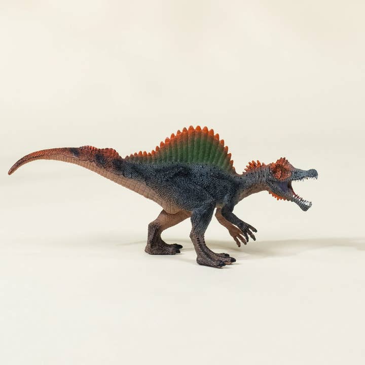 Coco Village - Wholesale Toy Set - Kids - Spinosaurus Dinosaur in a Collectible Box5