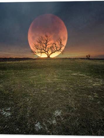 Blood Moon - Canvas Print for wholesale by HomeGroen Photography