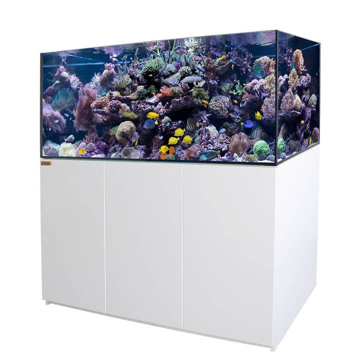 185 Gallon Coral Reef Aquarium Ultra Clear Glass Tank & Built in Sump All White - UPDATE for wholesale by AQUA DREAM