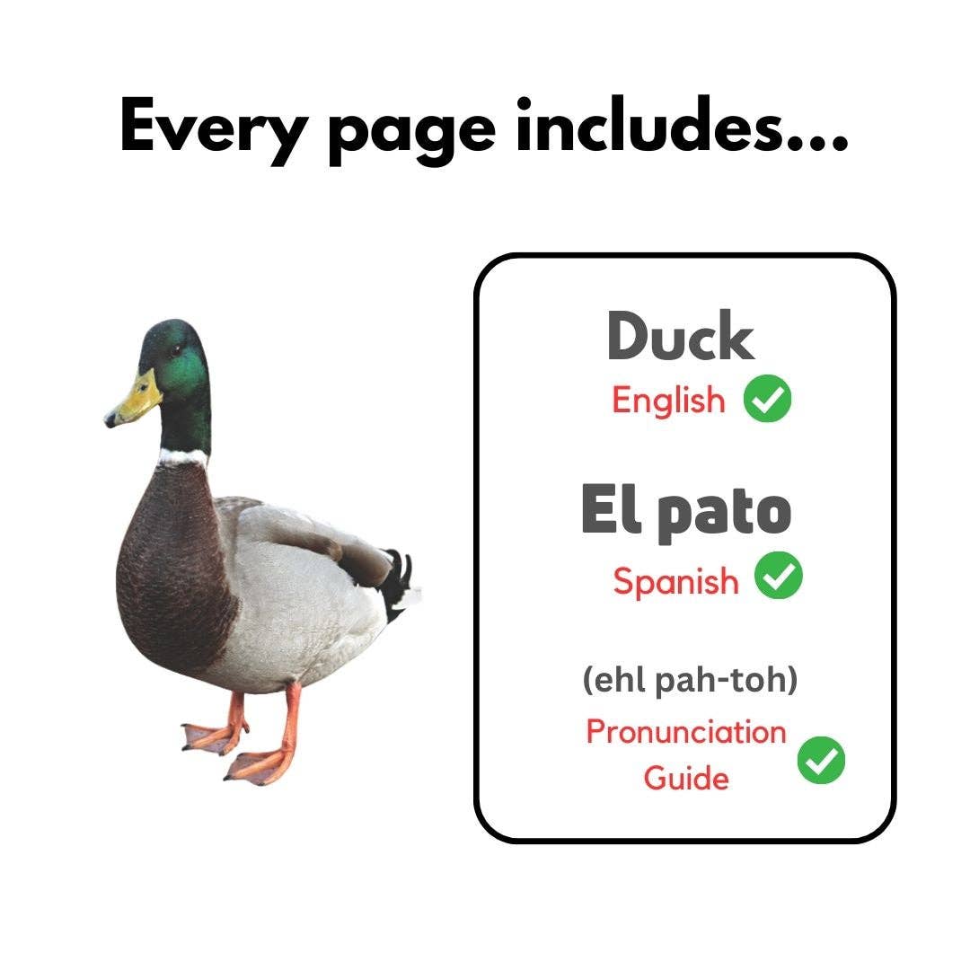 Heritage Kids Press - Wholesale Baby & Toddler Book (0-2) - My First Spanish Words Series8