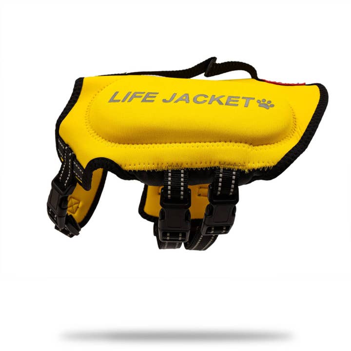 Dollar Paw - Wholesale Pet Jacket - Dog - Neoprene Dog Life Vest