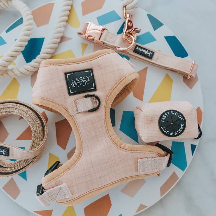 SASSY WOOF - Wholesale Pet Leash - Dog - Dog Leash - Pinot4