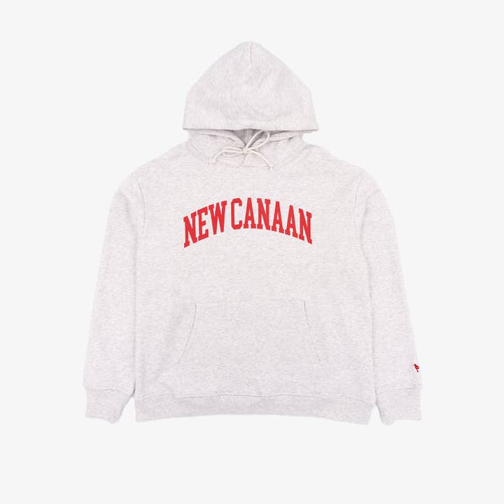 New Canaan Hoodie in Silver Grey for wholesale by The Just Brand