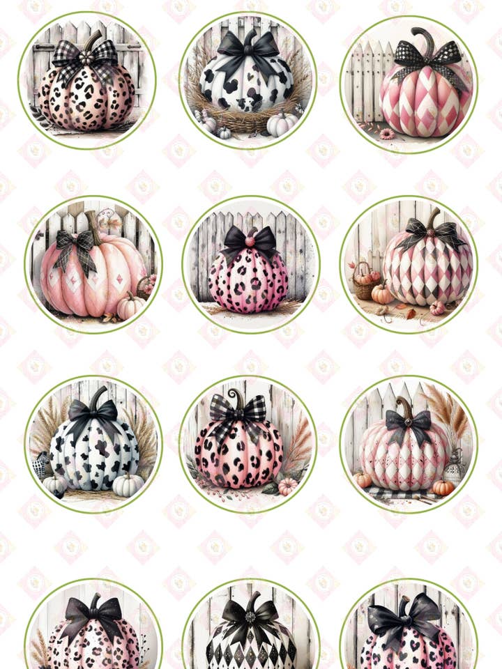 Pumpkin Prints Collection #2 for wholesale by Sunshine Boxes