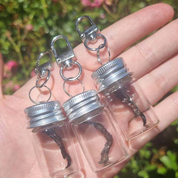 Keychain Crow Claw for wholesale by Mellows Delightful Oddities