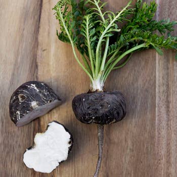 Ganesa Trading – wholesale Protein/superfood powder – Organic Black Maca Powder Imported from Peru, USDA.5