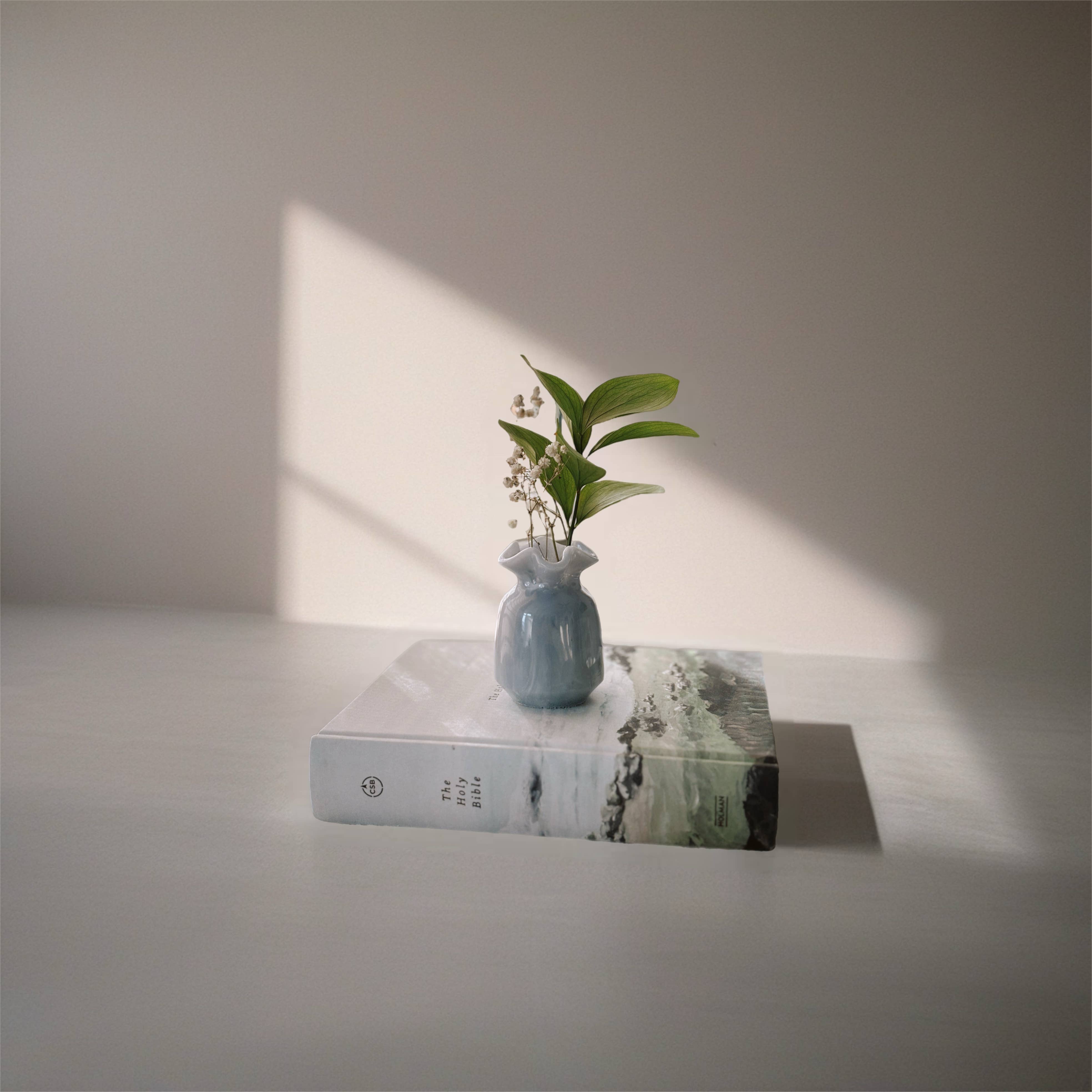 V.rogers Designs - Wholesale Vase - Zara Sculptural Vessel, Stem + Bud Vase, Organic Vase3