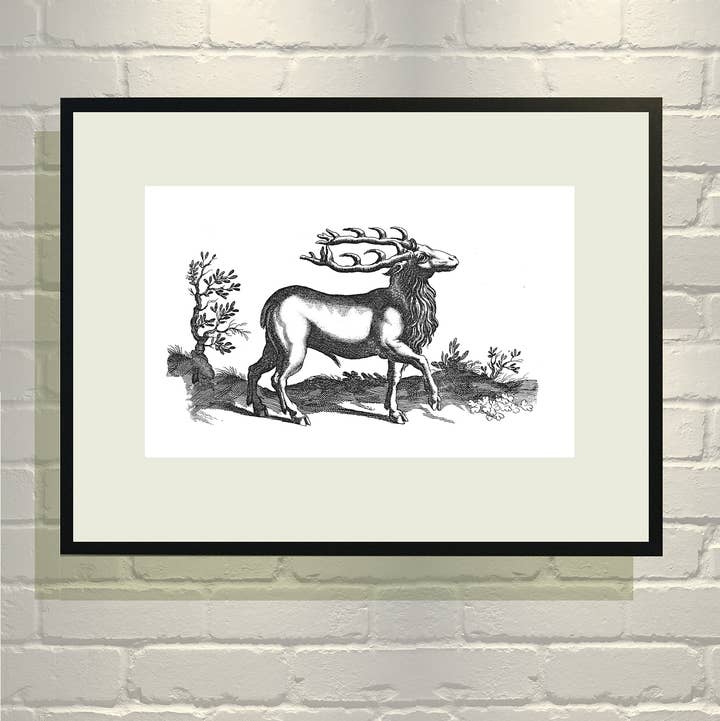 VMazzoni - Wholesale Art Print - Bearded Buck Giclée Art Print