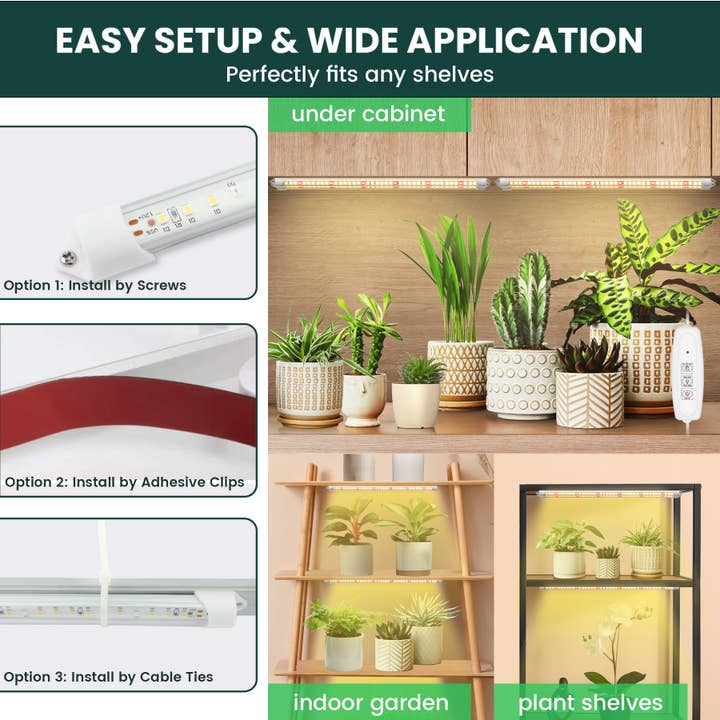 MY CITY GARDEN - Wholesale Garden Tool - Test Sale Kit - FLEX GROW (2 Pack) x2, EASY GROW (6 Pack) x2