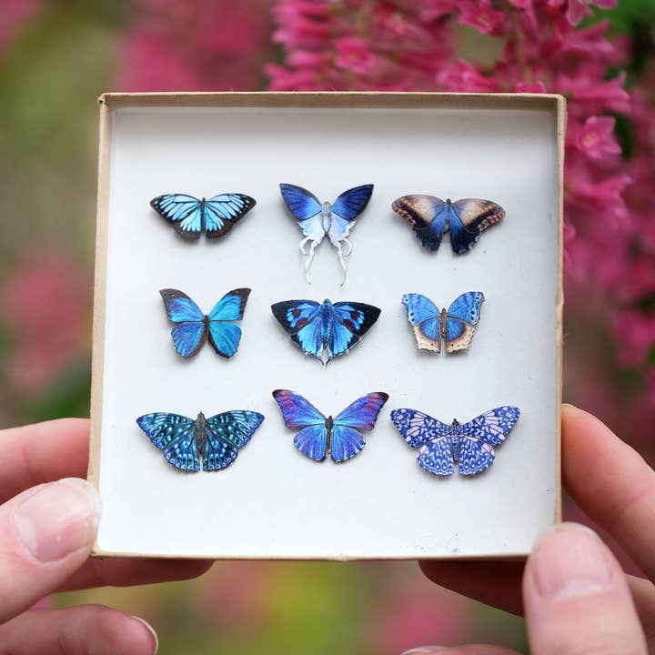 Moth and Myth - Wholesale Craft Supplies - ’Galaxy' Micro Moth & Butterfly Collection