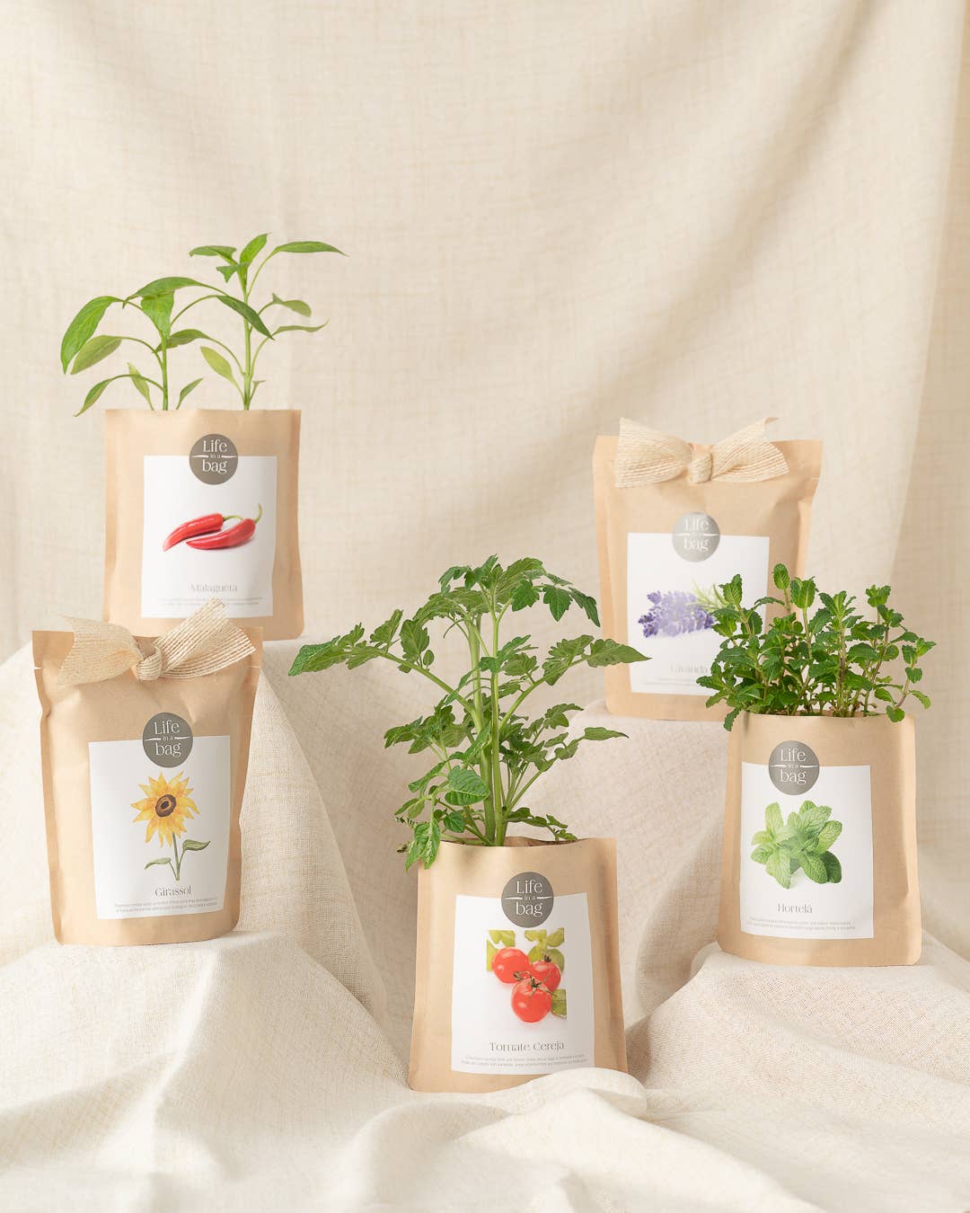 Life in a bag - Wholesale Plant Seeds - Grow Bag Lavender2