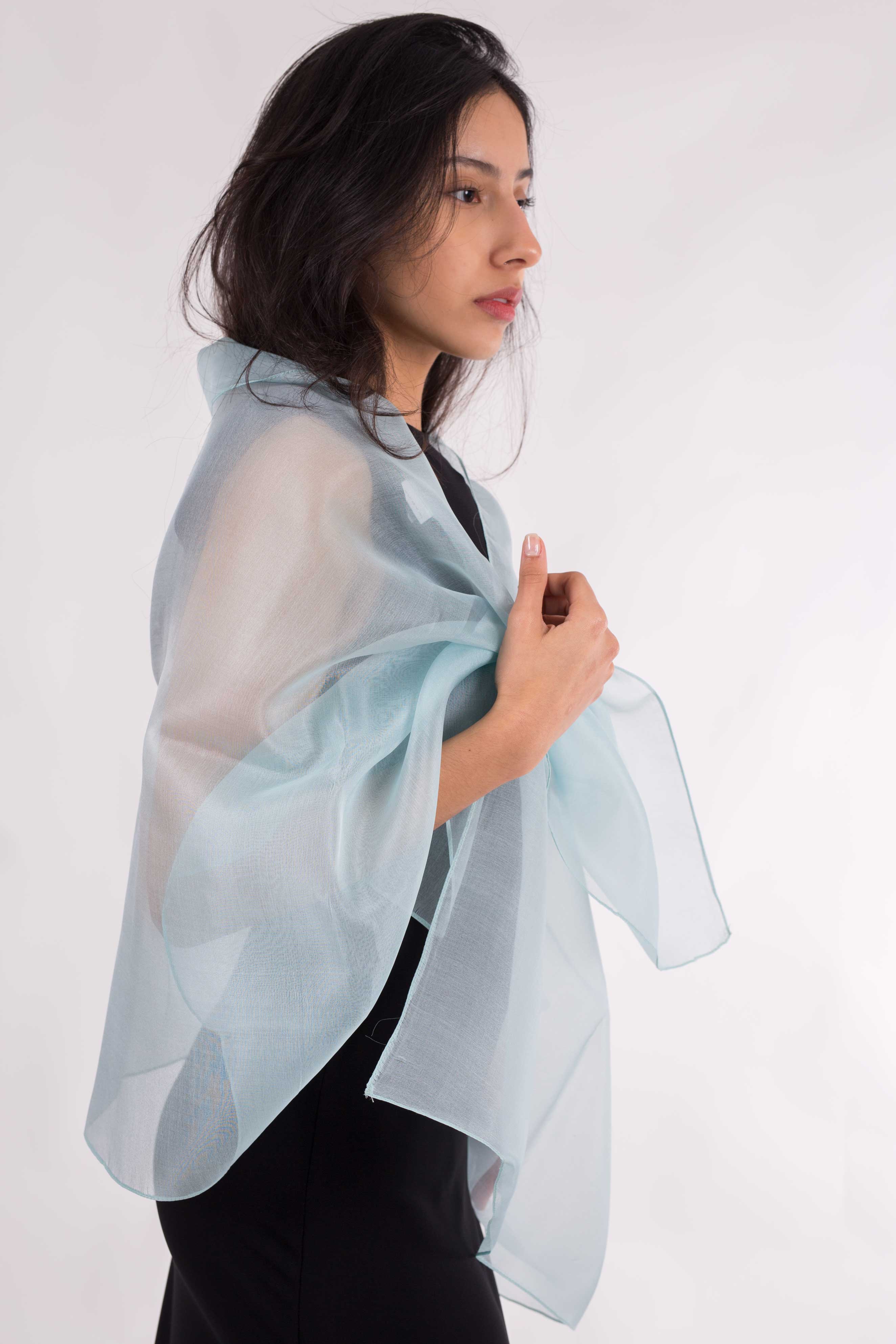 MR Complements - Venta al por mayor Chal - Mujer - Chal de Organza Seda Natural17