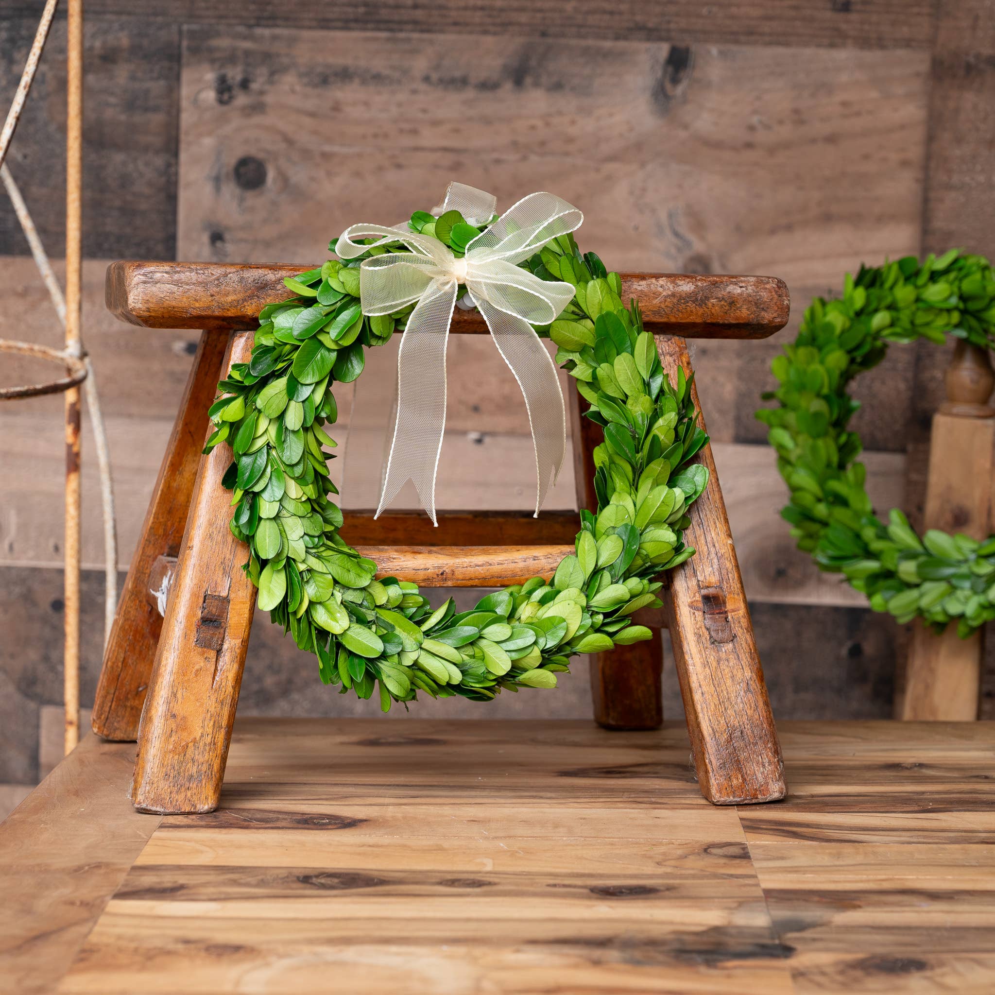 Mills Floral Company – wholesale Wreath – Preserved Boxwood Wreath - Round with Ribbon - 8 Inch1