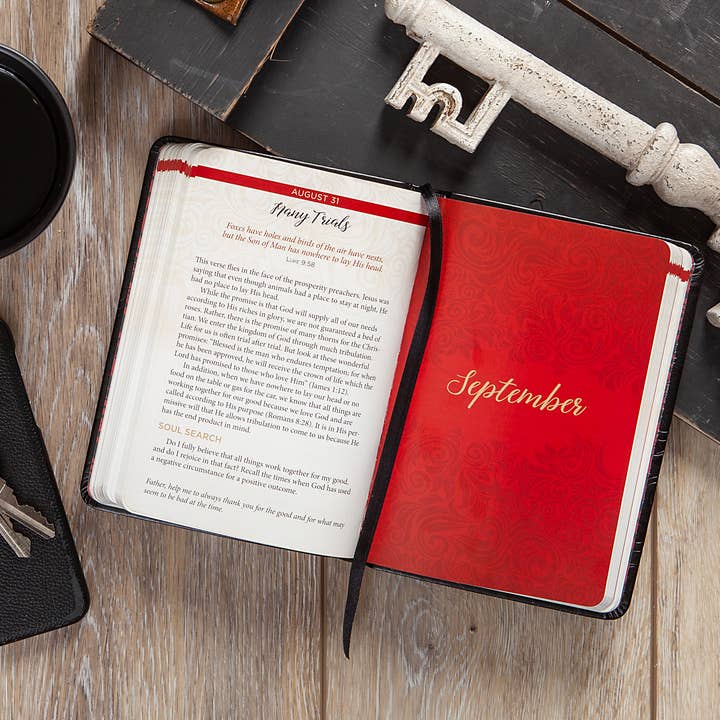 BroadStreet Publishing Group, LLC - Wholesale Religion Book - Jesus in Red (Devotional, Bestseller!)1