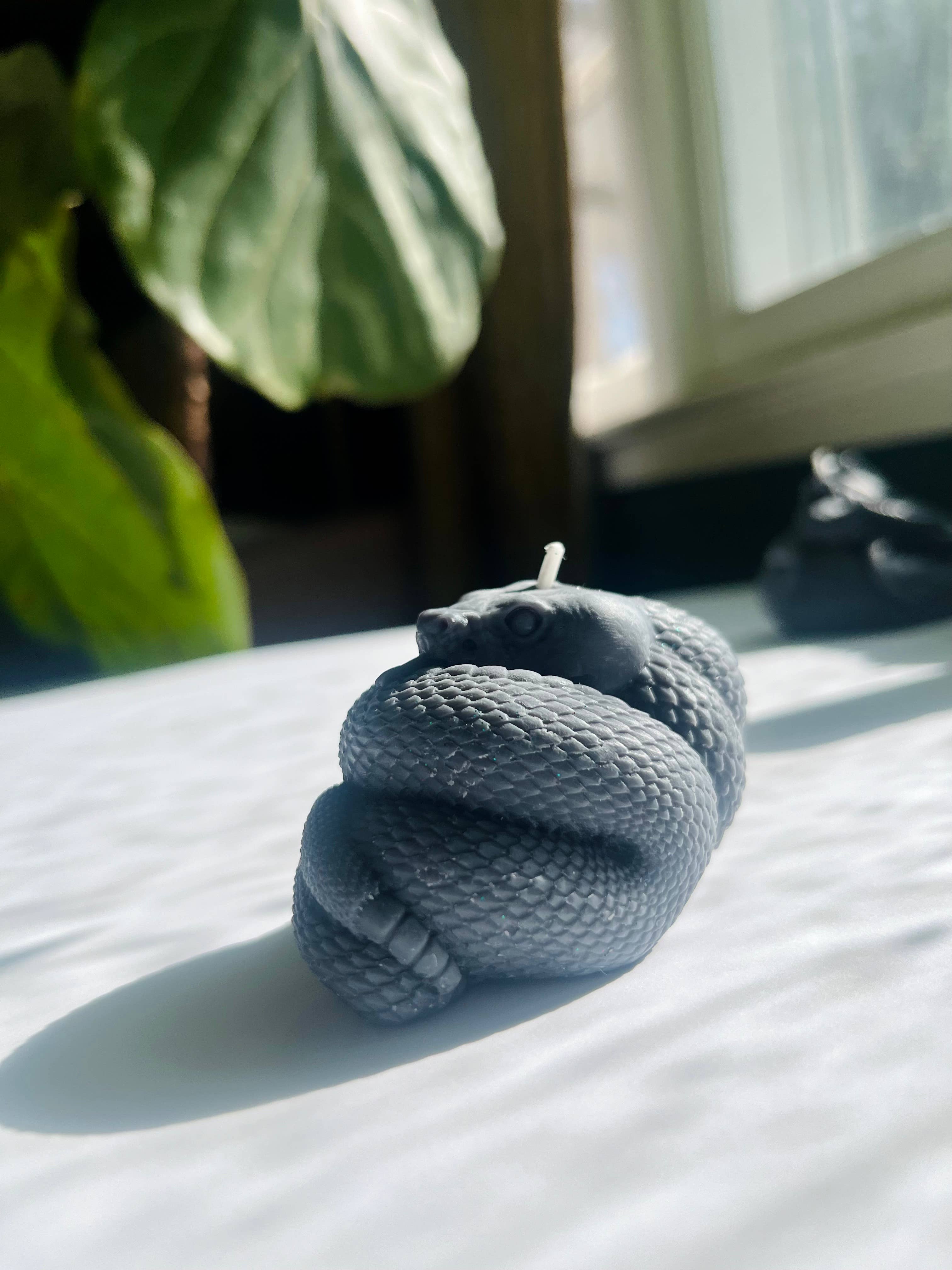 Beauty and the Moon - Wholesale Pillar Candle - Black Snake Candle | Witch Candle | Snake Art | Beeswax Soy 11