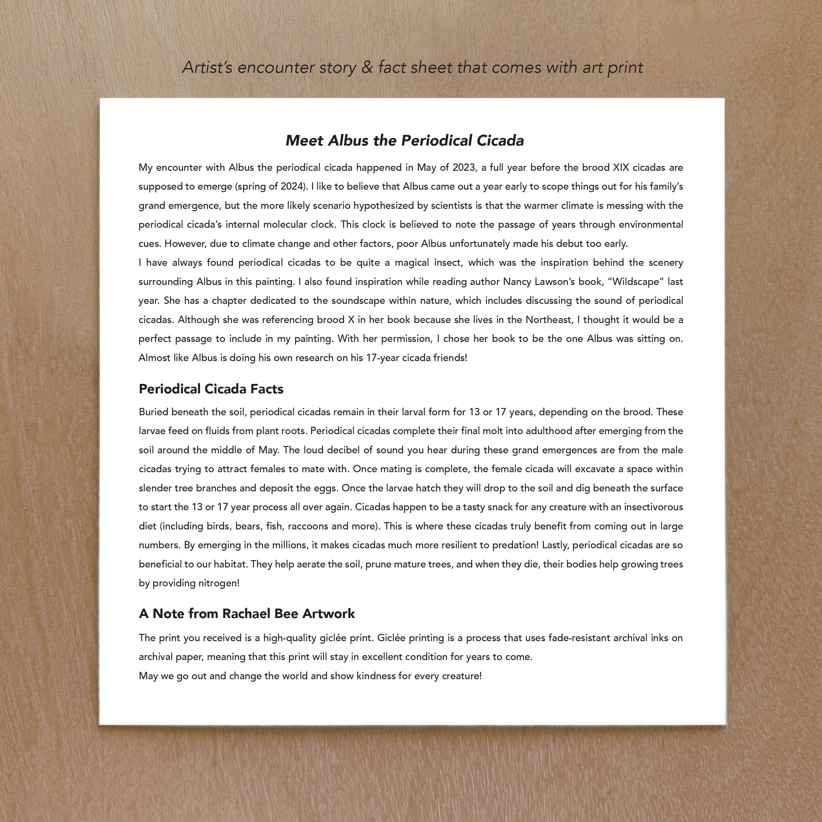 Rachael Bee Artwork - Wholesale Art Print - Periodical Cicada Art Print2