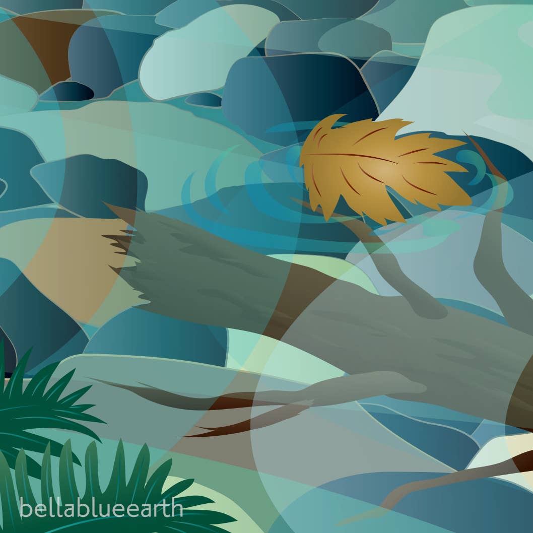 Bella Blue Designs - Wholesale Art Print - Poster Art Print - Salmon Magic, 12x18"2