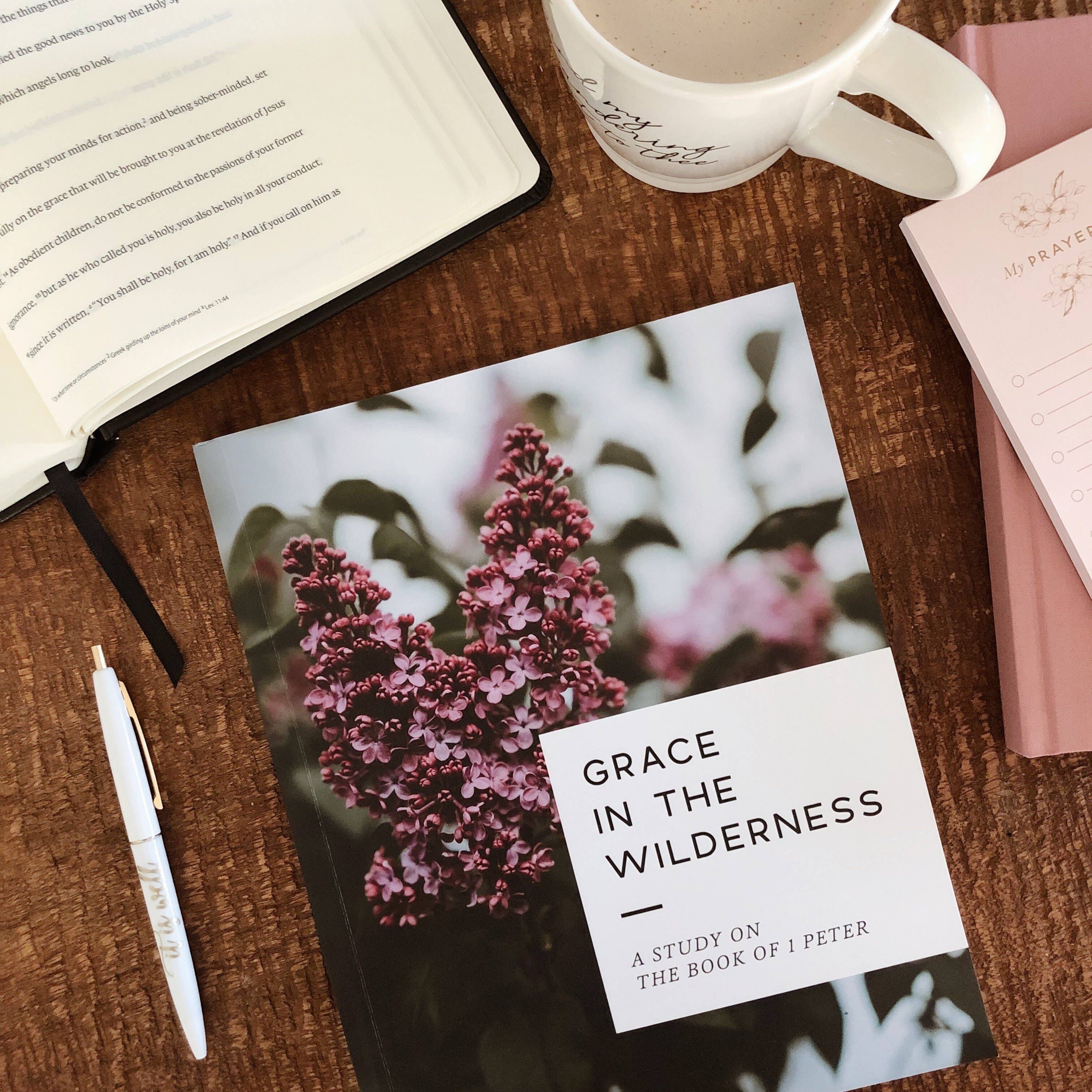 The Daily Grace Co - Wholesale Religion - Grace in the Wilderness | Study on 1 Peter14