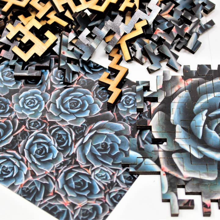 Echeveria pussel - 326 stycken för wholesale av Bewilderness