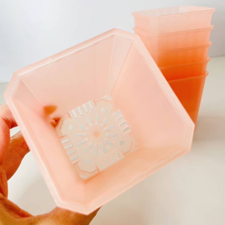 Coco and Palm Trees - Wholesale Plantenpot - 2,75” Roze Getinte Potten1